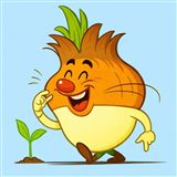 КупиСемена / КупиРастения
